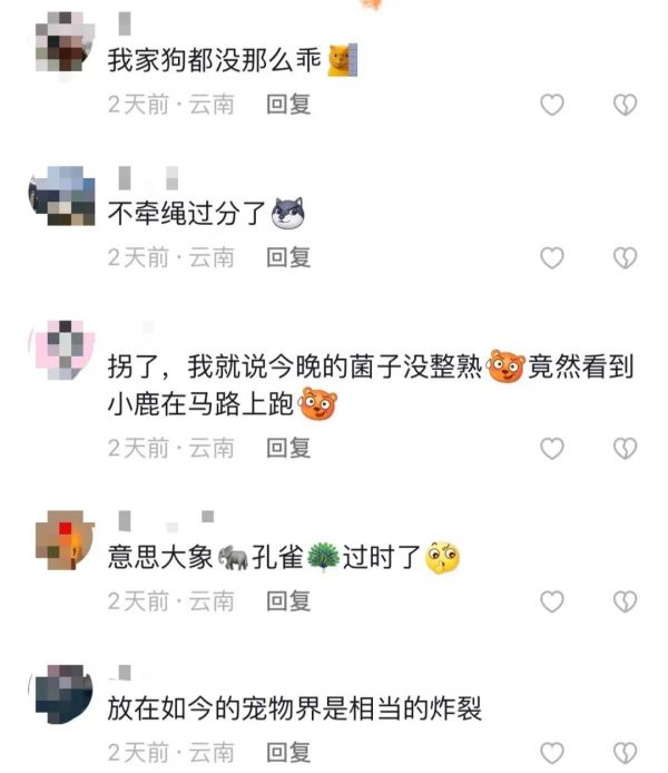 掌上春城微信