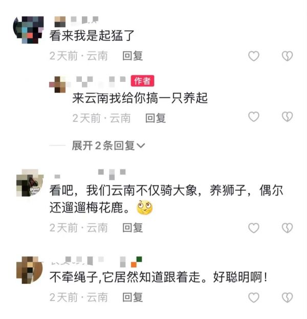 掌上春城微信