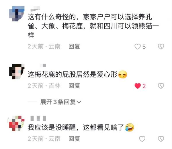 掌上春城微信