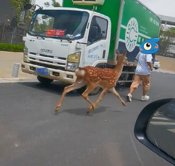 掌上春城微信