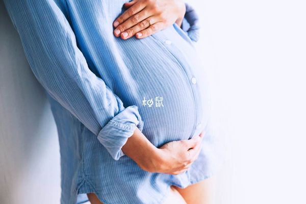 怀孕养鸭子有一些注意事项