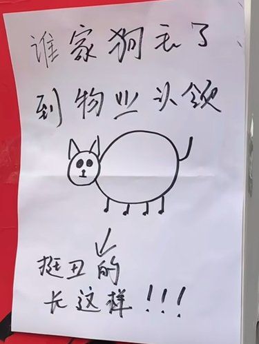 本狗和照片严重相符