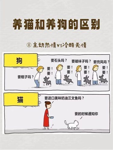 养猫人VS养狗人的区别！不要太真实[流泪]