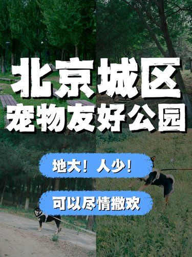 狗狗撒欢好去处 | 北京城区宠物友好公园指南