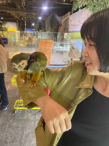小动物的快乐时光