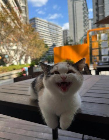 人 粗来玩啊