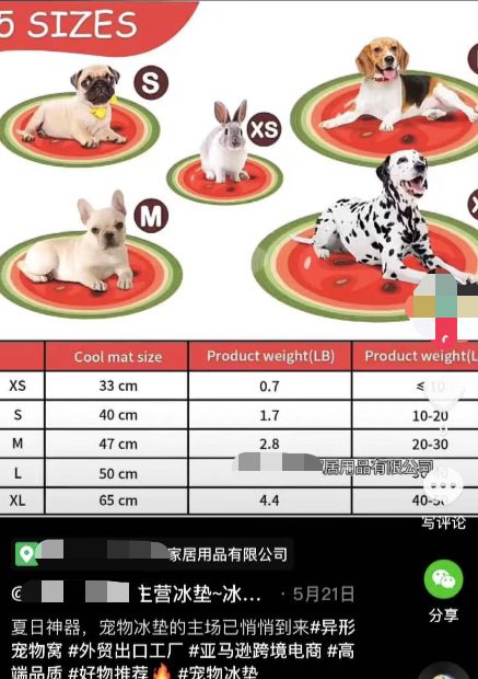 类目热度暴增5倍，宠物消暑神器火了