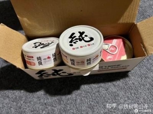 宠物降温
