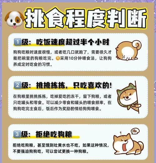 训狗时如何正确喂粮？拿粮的方式会影响训练效果吗？