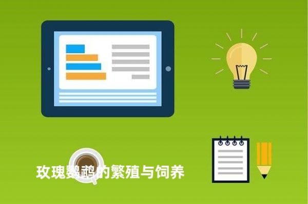 玫瑰鹦鹉的繁殖与饲养