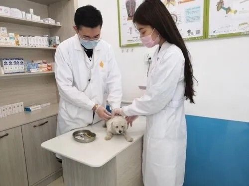 血清生化参考范围