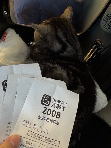 猫咪医院日常