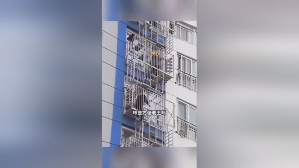 小区阴影楼梯，老王高兴坏了！