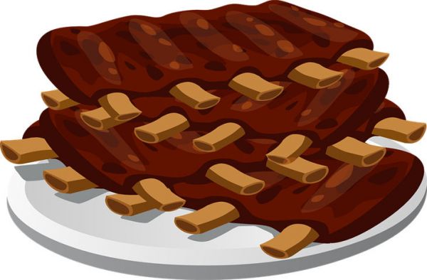 狗狗不吃狗粮用什么代替主食 可以喂哪些食物