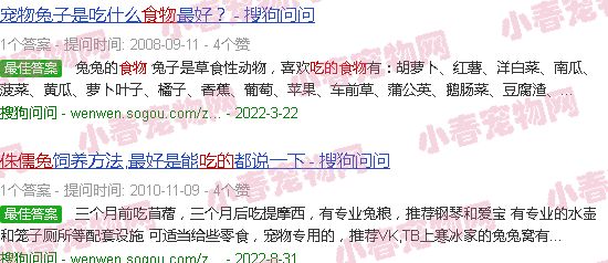侏儒兔最爱吃的10种食物