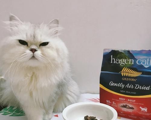 给猫喂粮的知名博主是谁？