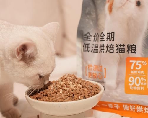 自制猫粮怎样才能最经济？有什么好方法？