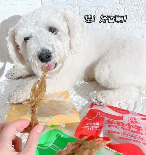 狗狗零食大（手工制作）