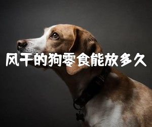 风干的狗零食能放多久