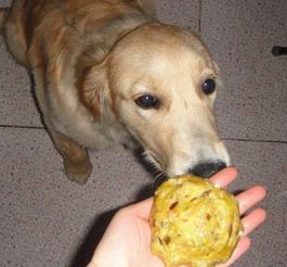 DIY宠物零食,狗狗健康美味零食,如何制作?