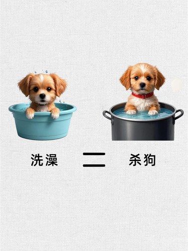 狗狗眼中的世界