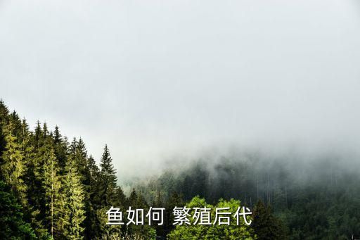 鱼如何 繁殖后代