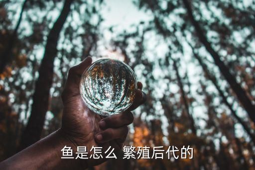 鱼是怎么 繁殖后代的