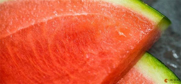 狗狗最爱吃的10种水果