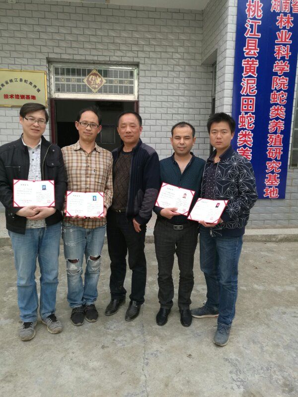我们推荐湖南养蛇要什么技术_蛇养殖技术培训中心在哪里相关-桃江县黄泥田蛇类养殖场