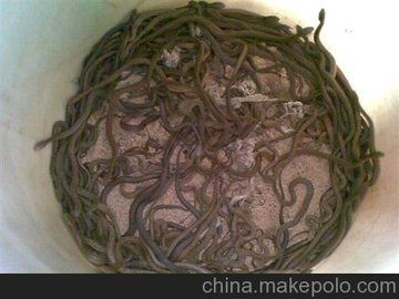 福财生态养蛇场