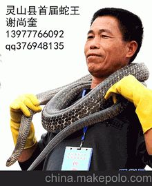 天强蛇类养殖场