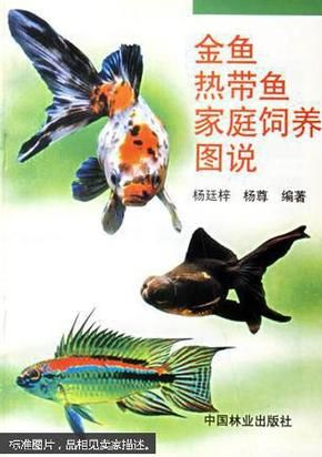 家庭金鱼养殖方法技术教学书籍 金鱼热带鱼家庭饲养图说