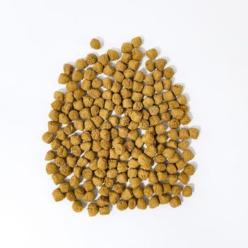 Tortoise Food Sukada Food Added Pumpkin Vegetables High Fiber Low Protein Easily Digestible Tortoise Feed