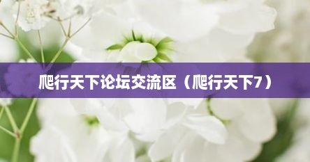 爬行天下论坛交流区（爬行天下7）