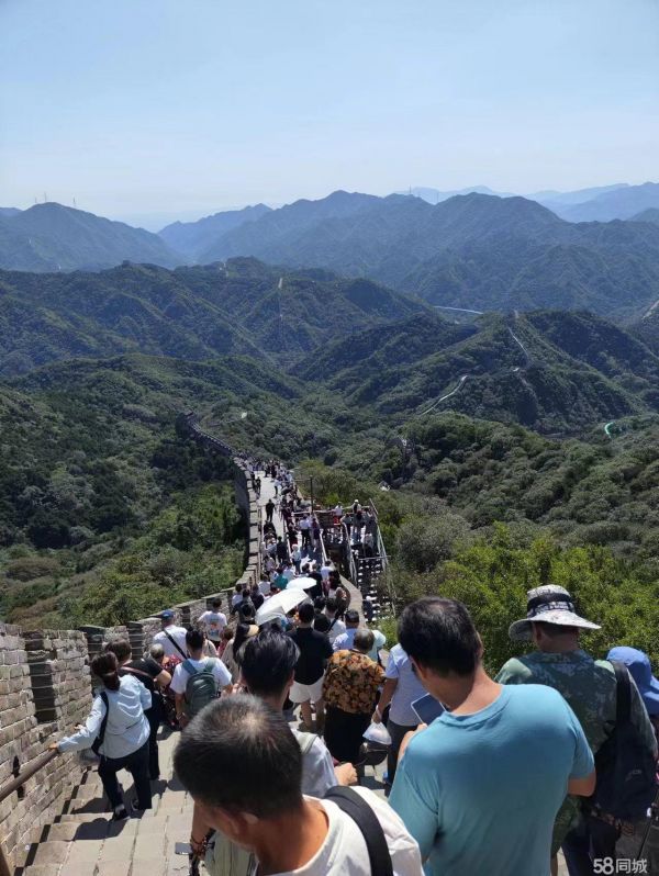 很喜欢狗狗希望谁家有不方便养的能送我