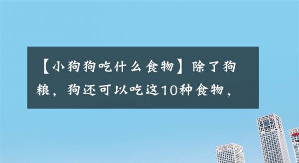 【小狗狗吃什么食物】除了狗粮，狗还可以吃这10种食物，知道还不晚文章配图