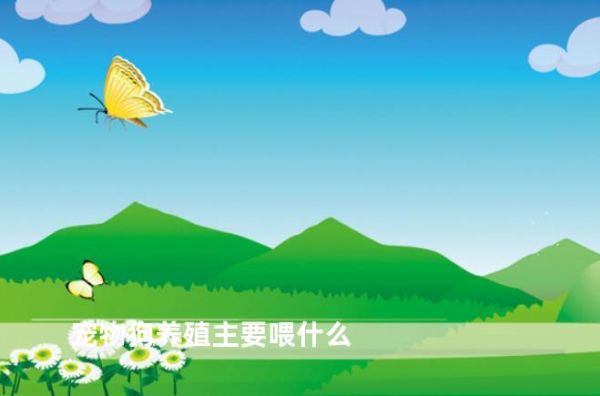 宠物狗养殖主要喂什么