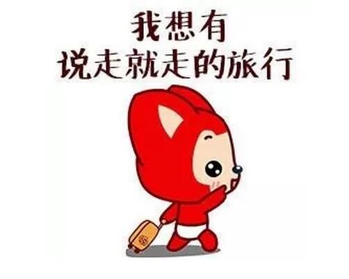 带着萌宠小仓鼠旅游,体验不一样的旅行乐趣?