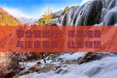 带仓鼠出行：详尽准备与注意事项，让宠物旅途更轻松愉快