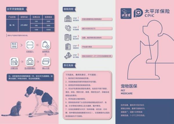 了解宠物疾病保险知识，为爱宠健康护航