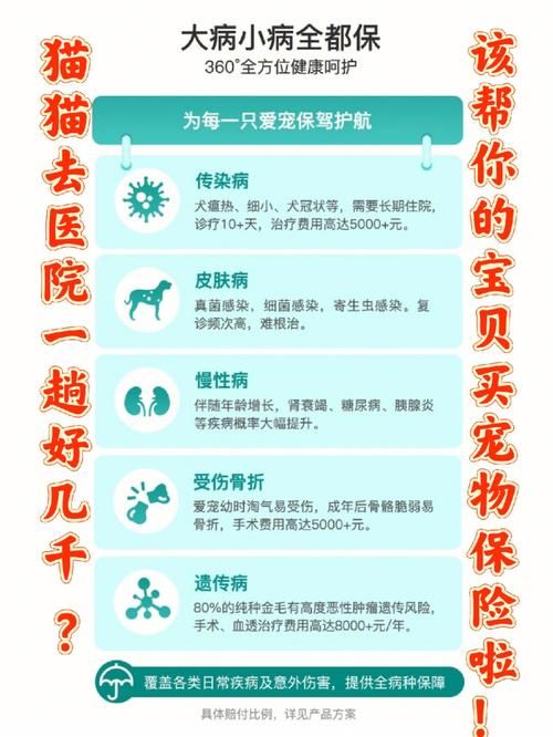 了解宠物疾病保险知识，为爱宠健康护航