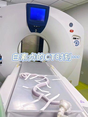 感谢医生救我蛇命❗❗❗