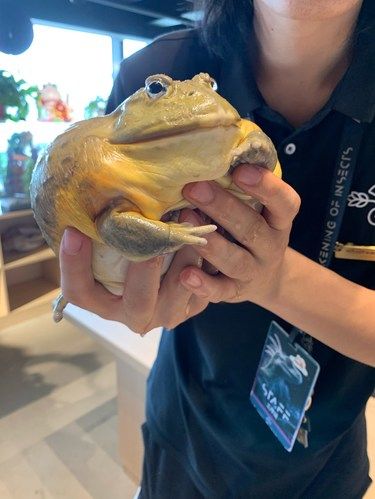 这里太好玩啦！