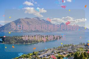 今日萌宠知识养护狗狗的误区和正确方法