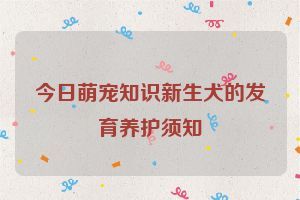 今日萌宠知识新生犬的发育养护须知