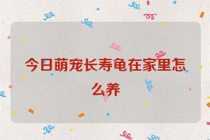 今日萌宠长寿龟在家里怎么养