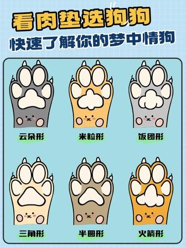 狗贩子的秘密，铲屎官必知！