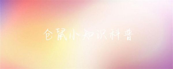 仓鼠小知识科普-第1张图片-彗行科普