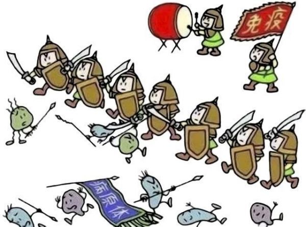 宠物为什么要接种疫苗？