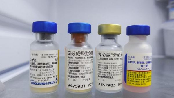 宠物为什么要接种疫苗？